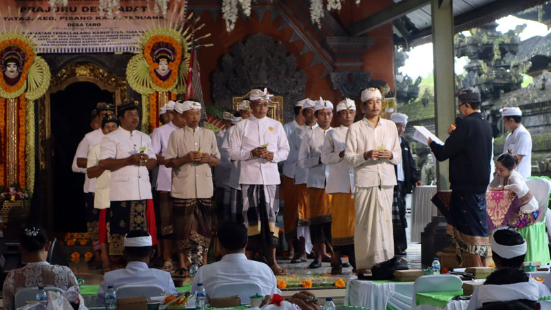 Pelantikan dan Pengukuhan Empat Bendesa Adat di Desa Adat Taro merupakan Wujud Kekompakan dan Persatuan Adat Bali